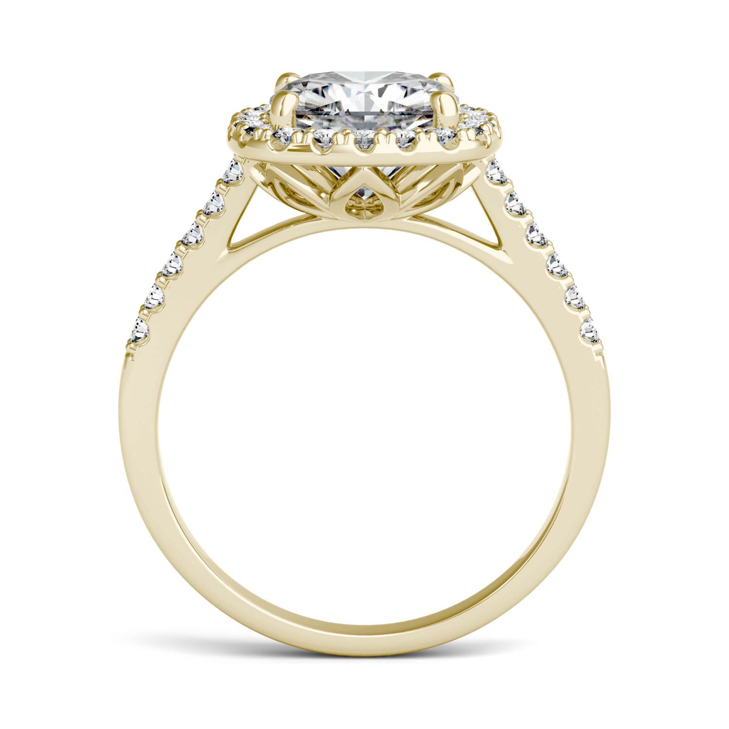 2.88 CTW DEW Cushion Moissanite Halo Engagement Ring in 14K Yellow Gold