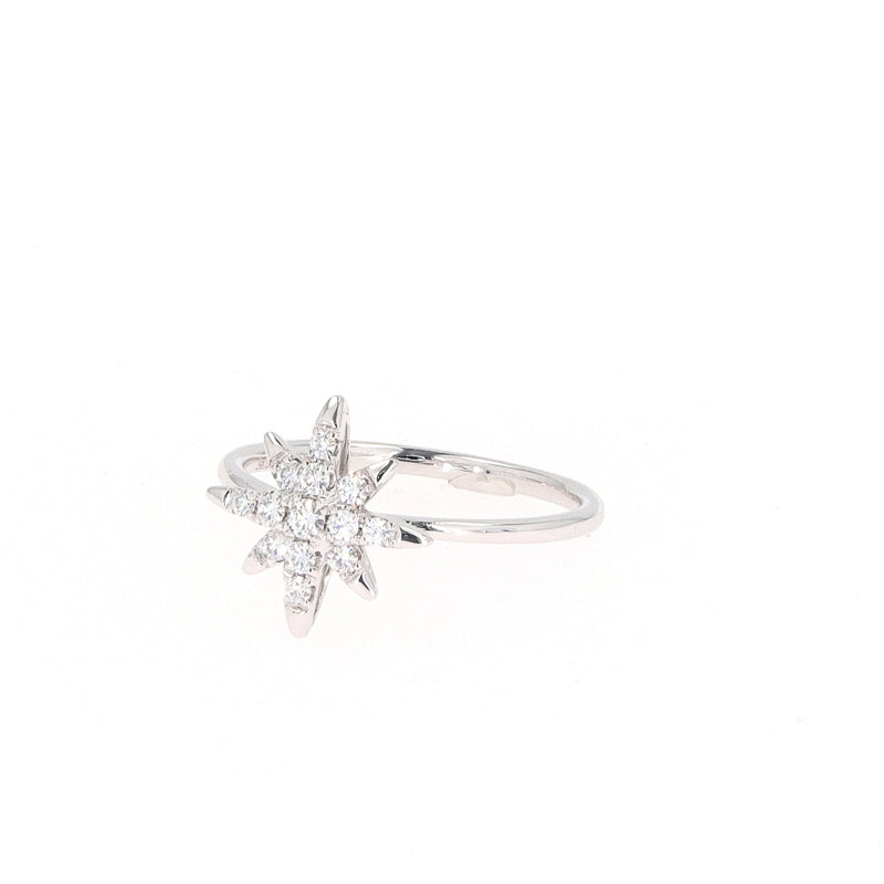 0.22 CTW DEW Round Near-Colorless Moissanite Starburst Ring in 14K White Gold