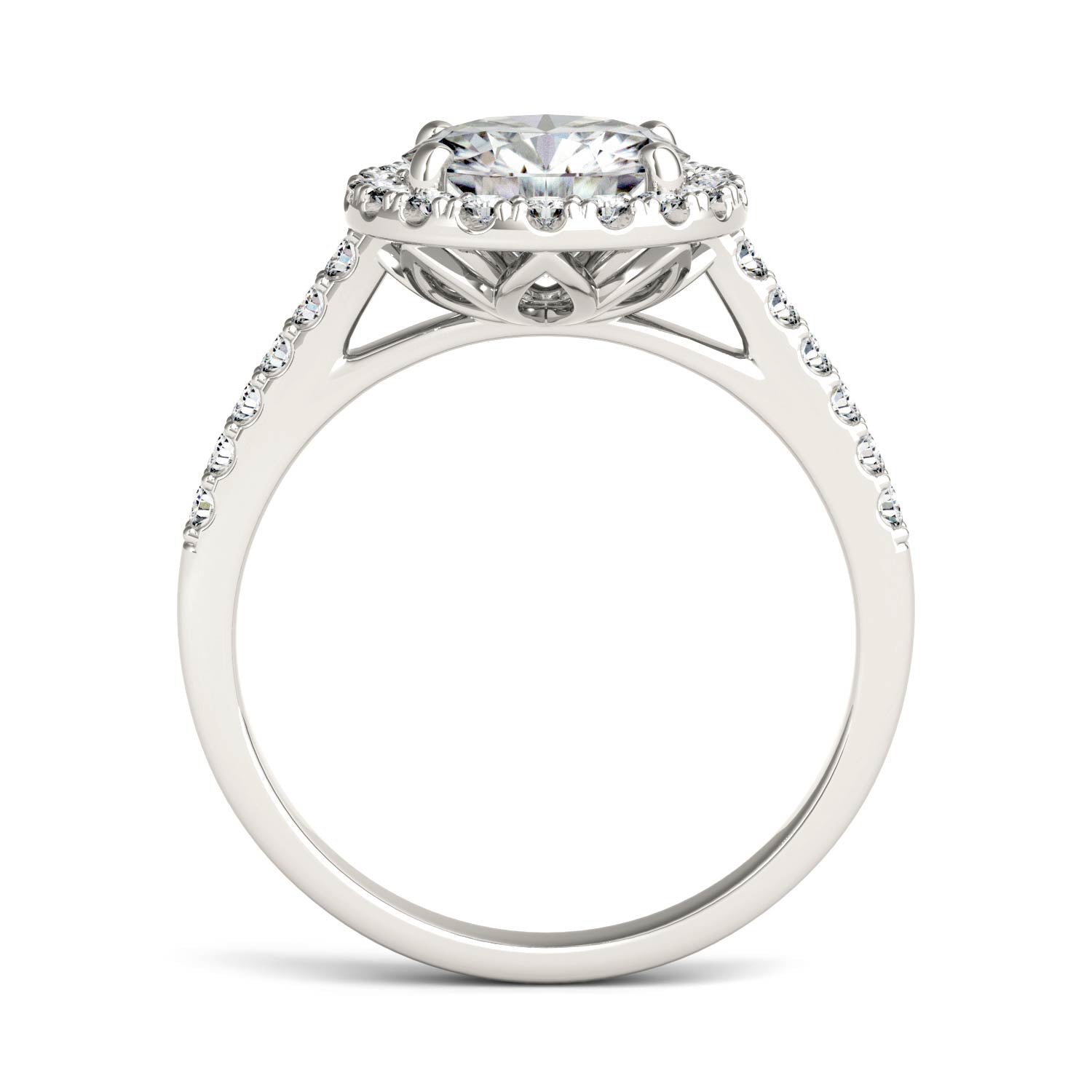 2.35 CTW DEW Round Moissanite Halo Ring in 14K White Gold